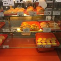 Yummy Café House Inc ico