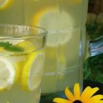 Ju Feng Chinese Restaurant