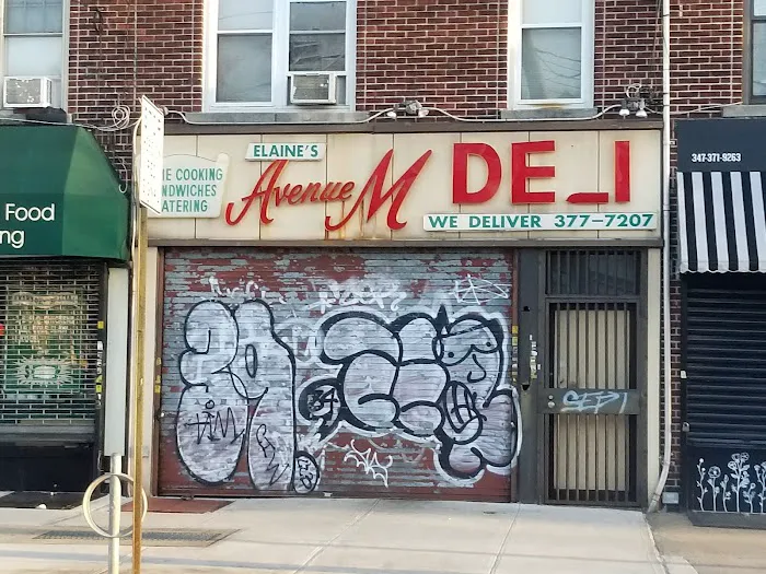 Elaine's Avenue M Deli Picture 10