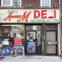 Elaine's Avenue M Deli ico