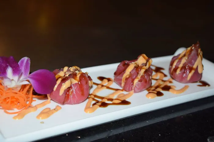 Kasai Kosher Hibachi Picture 9