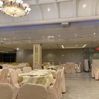 New Pacific Palace ico