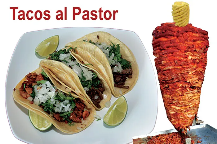 MEXICAN DOGGIS Picture 3