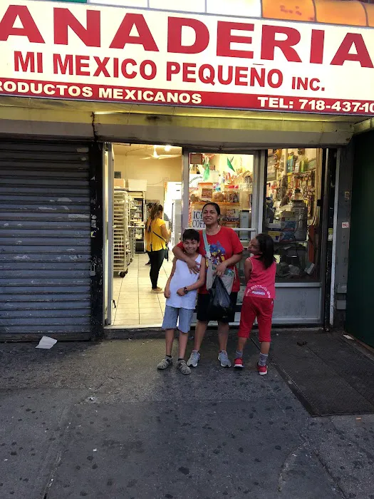 Mi Mexico Pequeno Picture 6