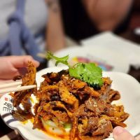 Xun Yu Si Kao ico