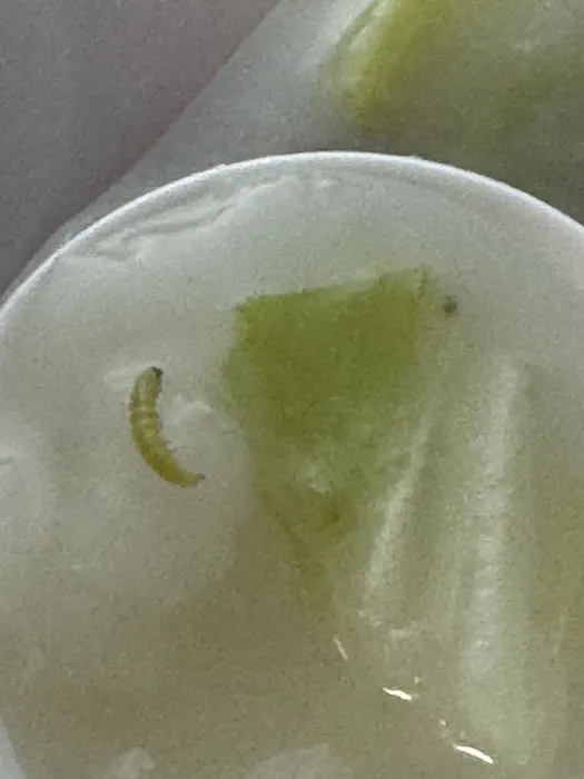 Huayijia Picture 4