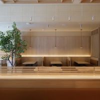 DOMOTO by DOMO ico