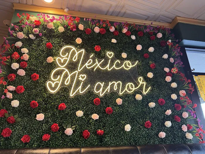 Mexico Mi Amor Picture 8