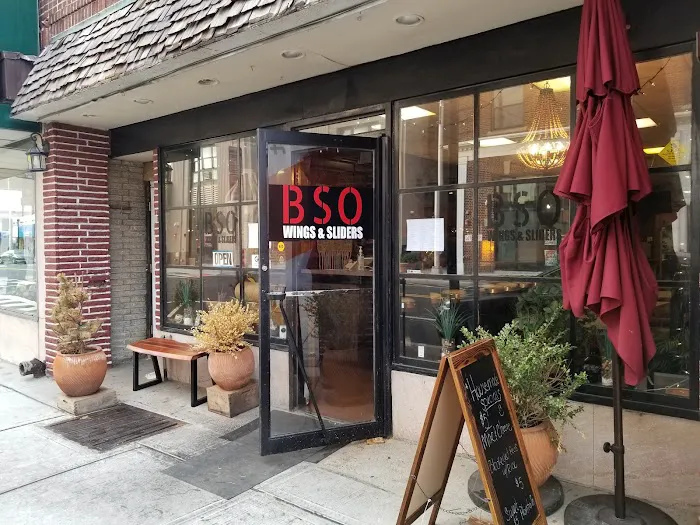 BSO Wings Express Picture 10