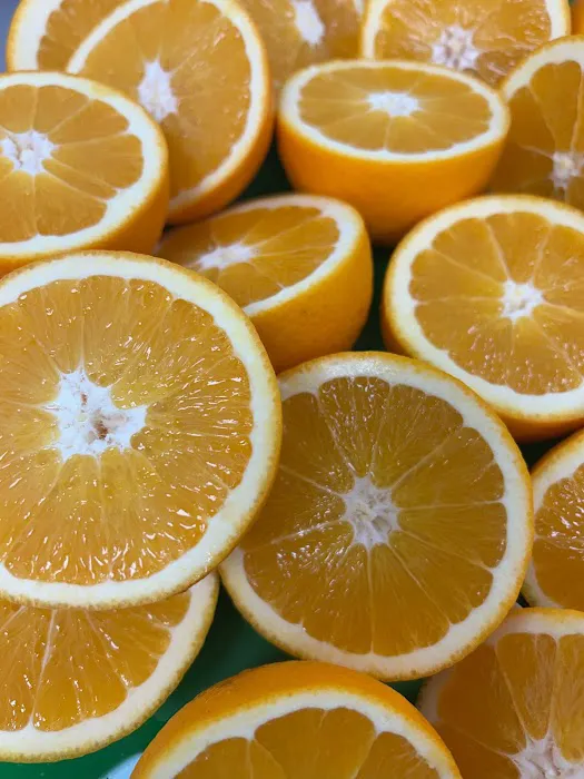 Fitzie’s Italian Ice Picture 3