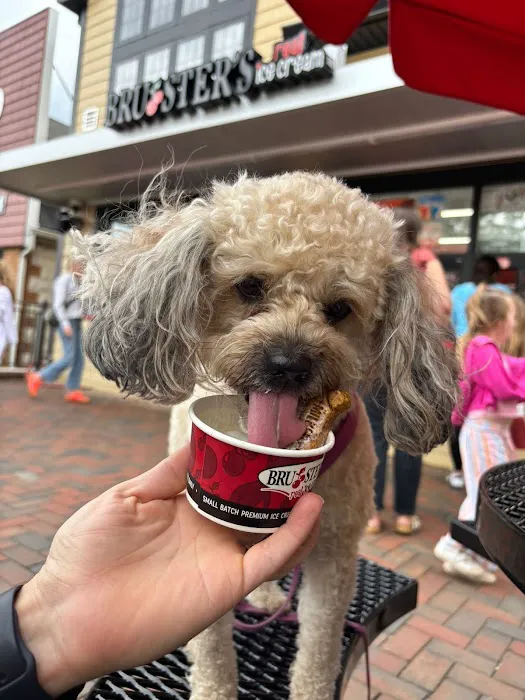 Bruster's Real Ice Cream Picture 3