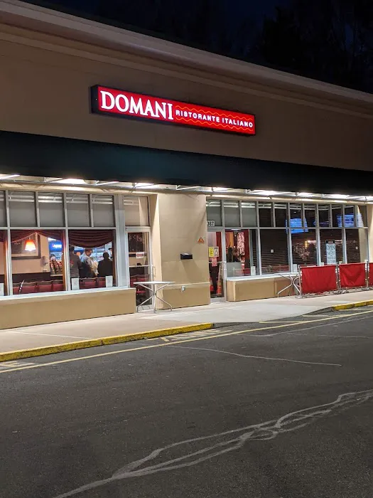 Domani Picture 9