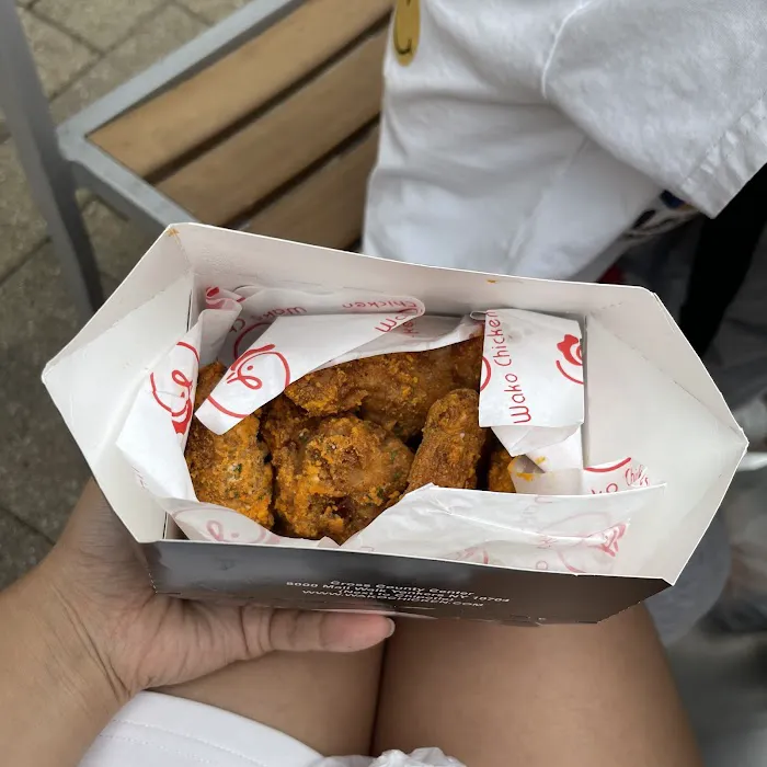 Wako Chicken Picture 3