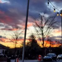 Pete's Park Place Tavern ico