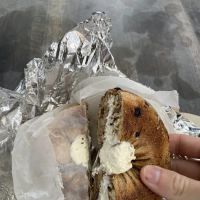 The Bagel Emporium of Scarsdale ico