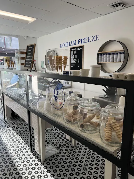 Gotham Freeze Picture 10