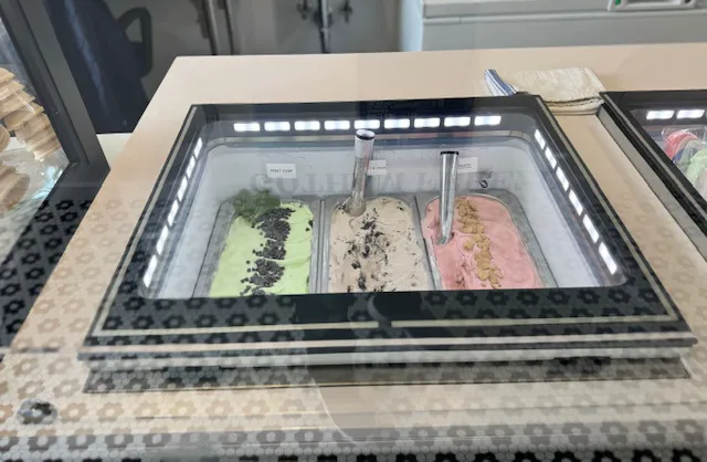 Gotham Freeze Picture 1