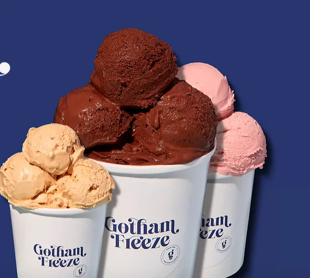 Gotham Freeze Picture 4