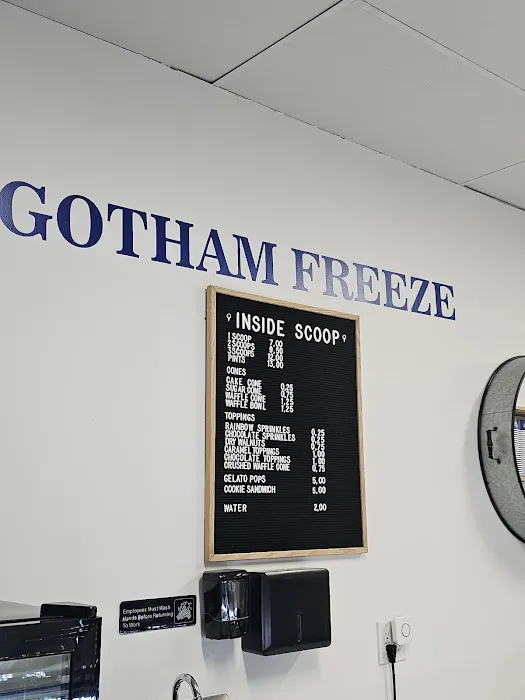 Gotham Freeze Picture 5