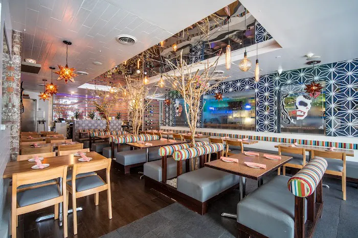VEGA Mexican Cuisine Picture 8