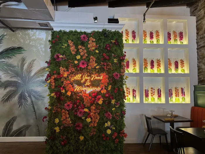 Mamajuana Cafe prime Picture 4