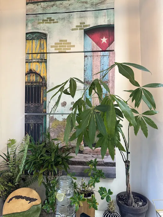 Matanzas Cuban Cafe Picture 9