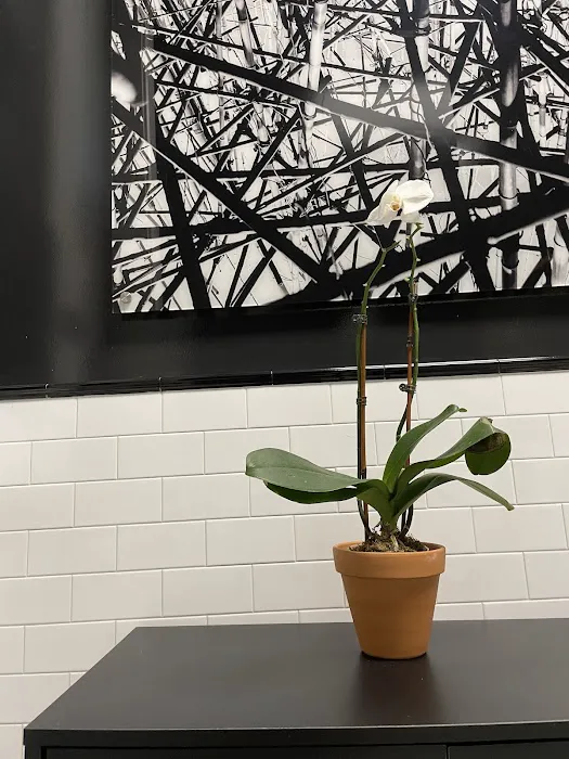 Shea Station Picture 10