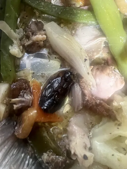 El Sabor Latino Restaurant Picture 6