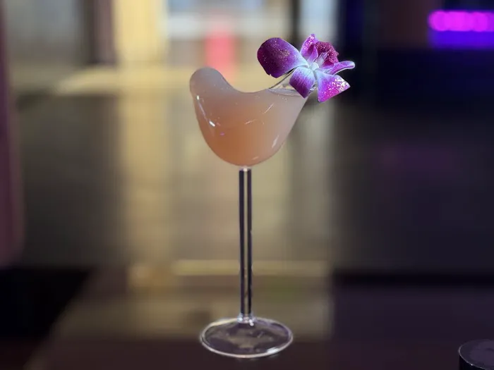 NoMa Social Picture 2