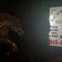 Hacienda Mexicana ico