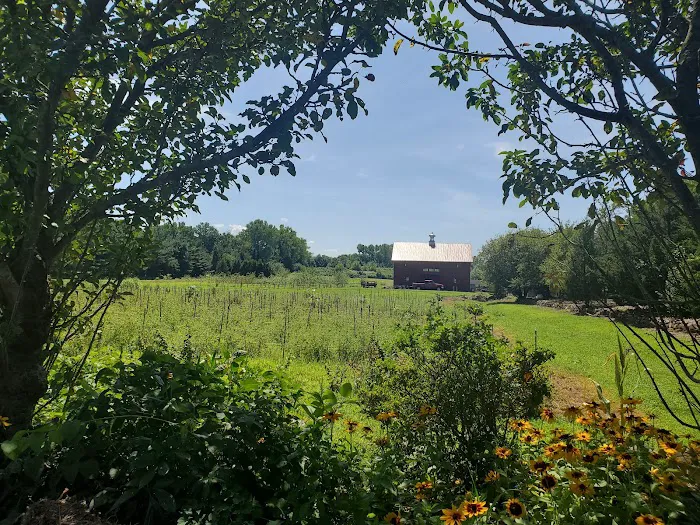 Farm Cafe Picture 4