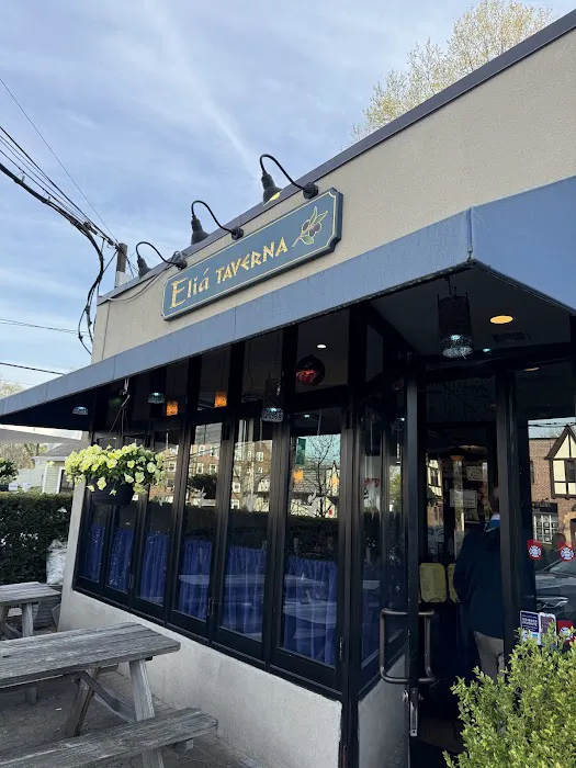 Elia Taverna Picture 10