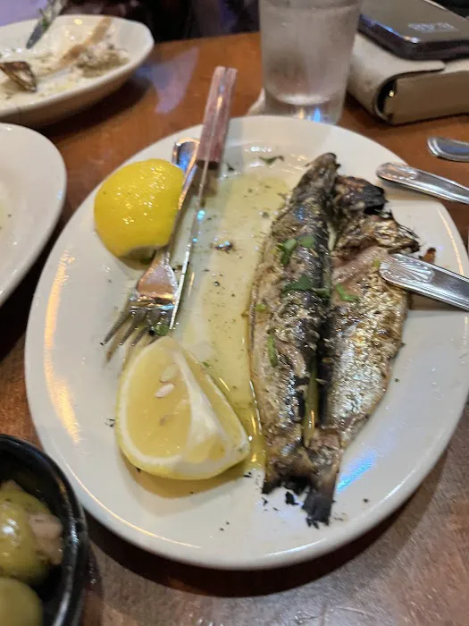 Elia Taverna Picture 5