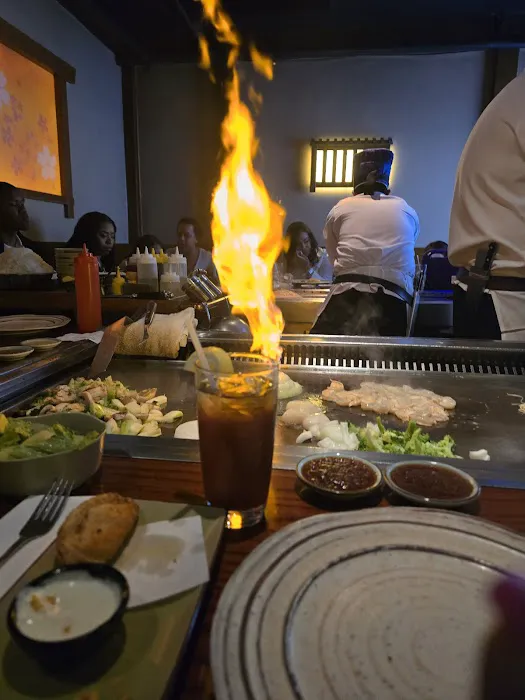 Edo Restaurant Picture 9