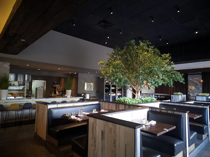 Mirabella Cocina Latina Picture 3