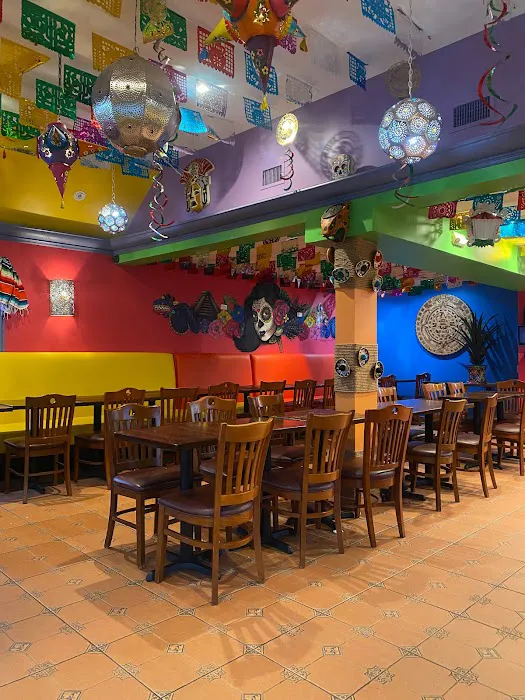 Viva Margarita Picture 3