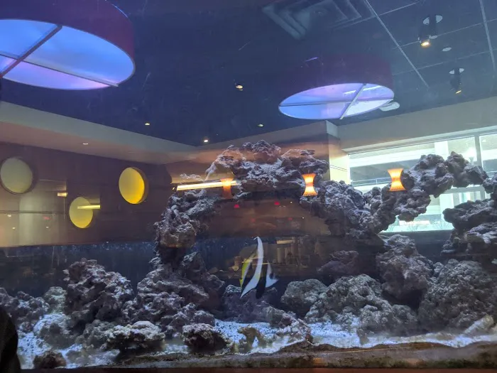 Aquarium Cafe Picture 7