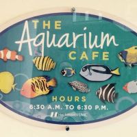 Aquarium Cafe ico