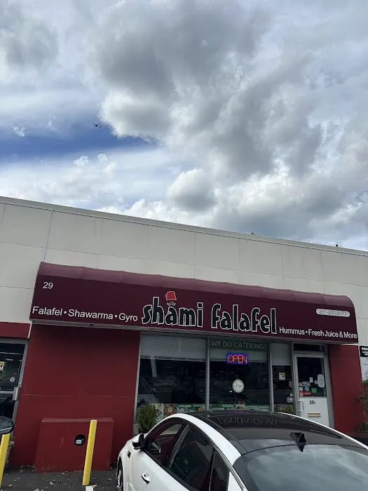 Shami Falafel Picture 3