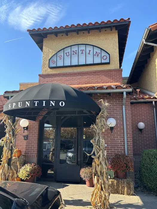 Spuntino Wine Bar & Italian Tapas Picture 3