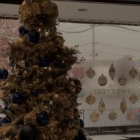 Paris Baguette ico