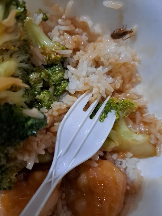 Hong Kong Stir Fry Picture 10
