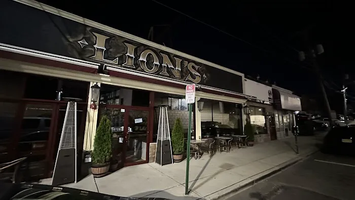Lion's Mediterranean Turkish Grill Picture 1