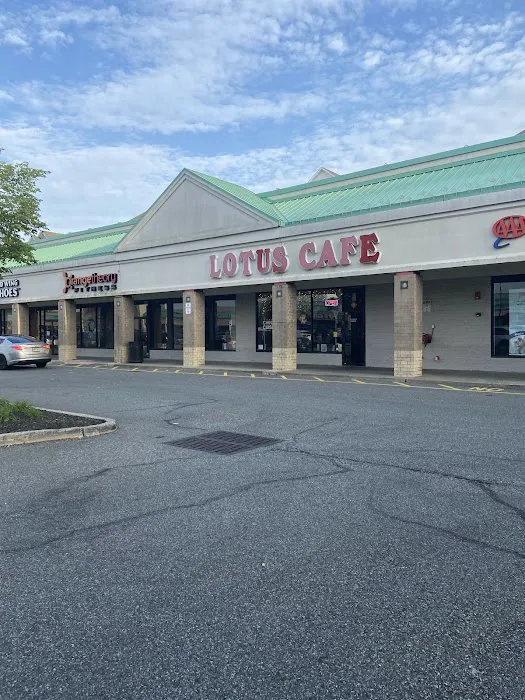 Lotus Cafe Picture 5