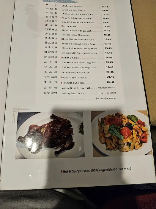 Lotus Cafe Picture 3