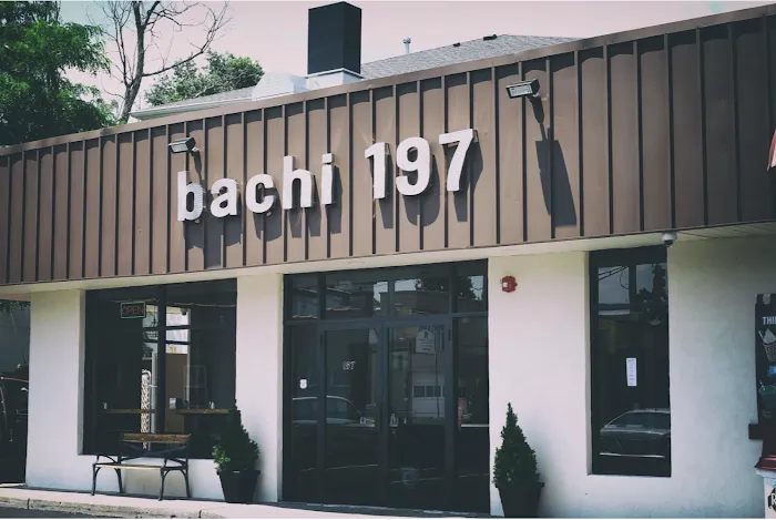bachi 197 Picture 1