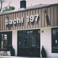 bachi 197 ico