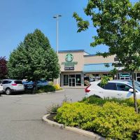 Starbucks ico