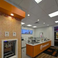 Orange Leaf Frozen Yougurt ico