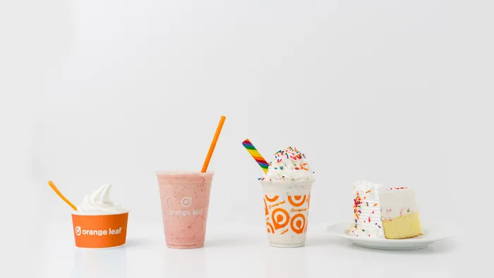 Orange Leaf Frozen Yougurt Picture 9